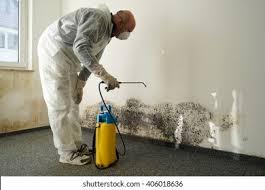 Best Mold Odor Removal Services in USA